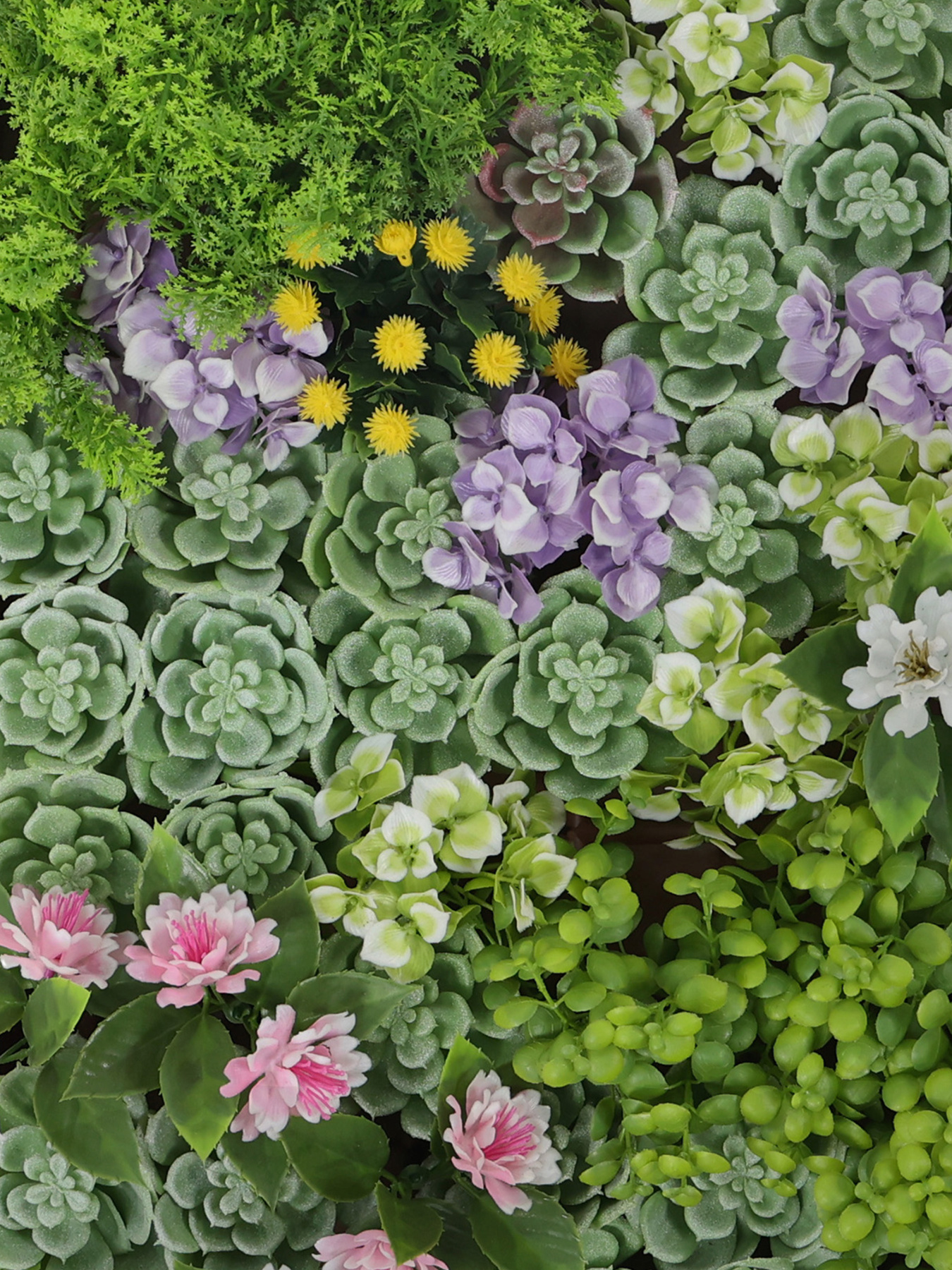 Фітокартина "Таємниця" Engard модель FP-48 Фото