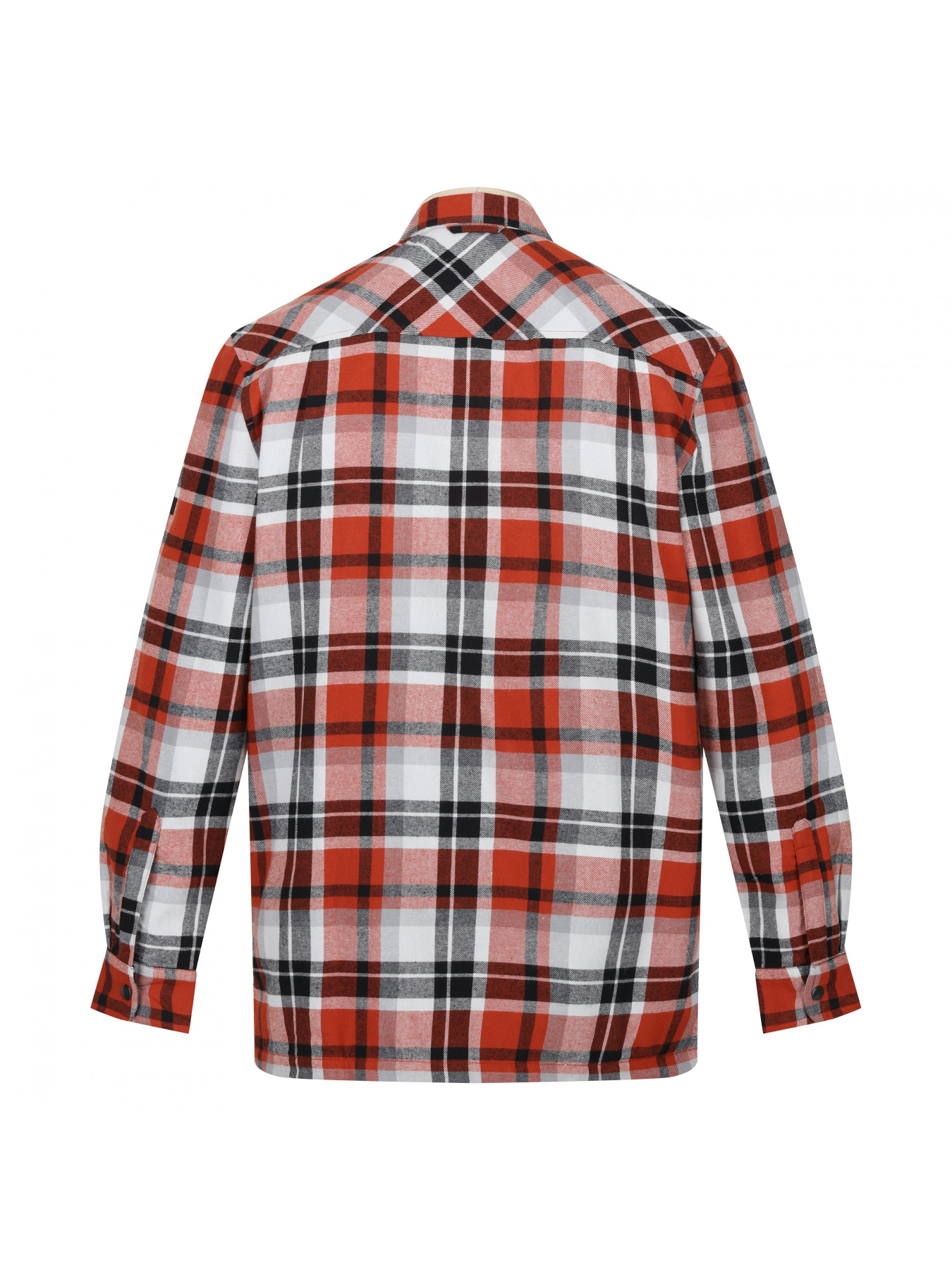 Сорочка Regatta Модель RMS155-TFP Фото