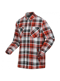 Сорочка повсякденна Regatta модель RMS155-TFP Фото