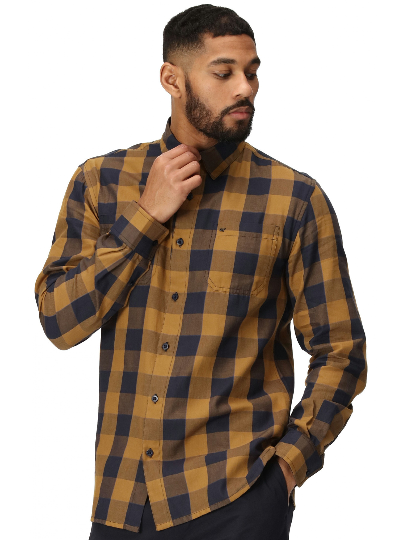 Сорочка Regatta модель RMS157-Y4K Фото