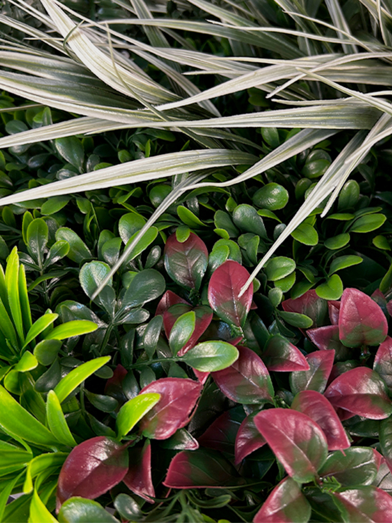 Фитокартина"Галактика", 50 см Engard модель FP-49 Фото