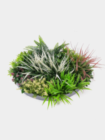 Фитокартина"Галактика", 50 см Engard модель FP-49 Фото