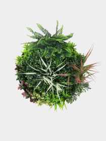 Фитокартина"Галактика", 50 см Engard модель FP-49 Фото