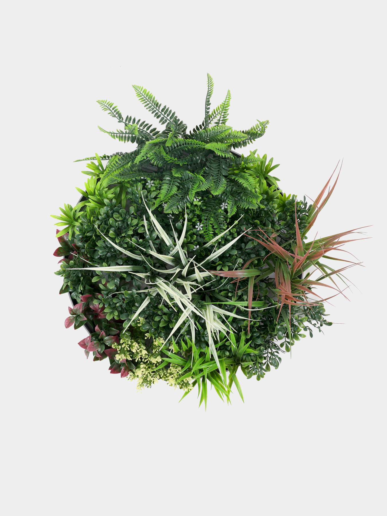 Фітокартина "Галактика" Engard модель FP-49 Фото