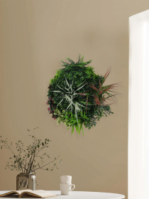 Фітокартина "Галактика" Engard модель FP-49 Фото