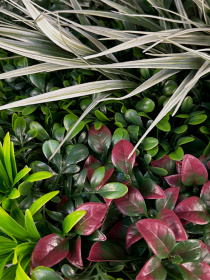 Фітокартина "Галактика" Engard модель FP-49 Фото