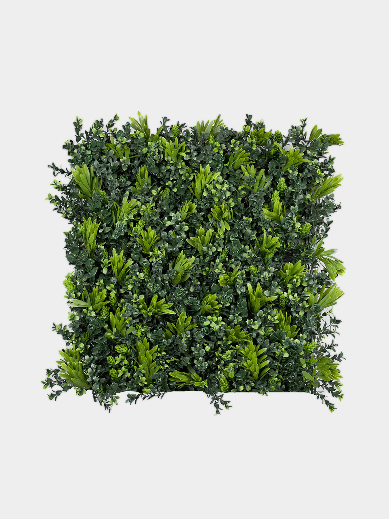 Декоративное зеленое покрытие-фитостена "Патио микс" Engard модель GCK-18 Фото