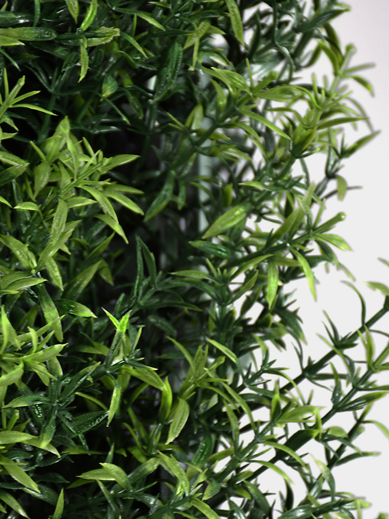 Декоративное зеленое покрытие-фитостена "Розмарин" Engard модель GCK-31 Фото