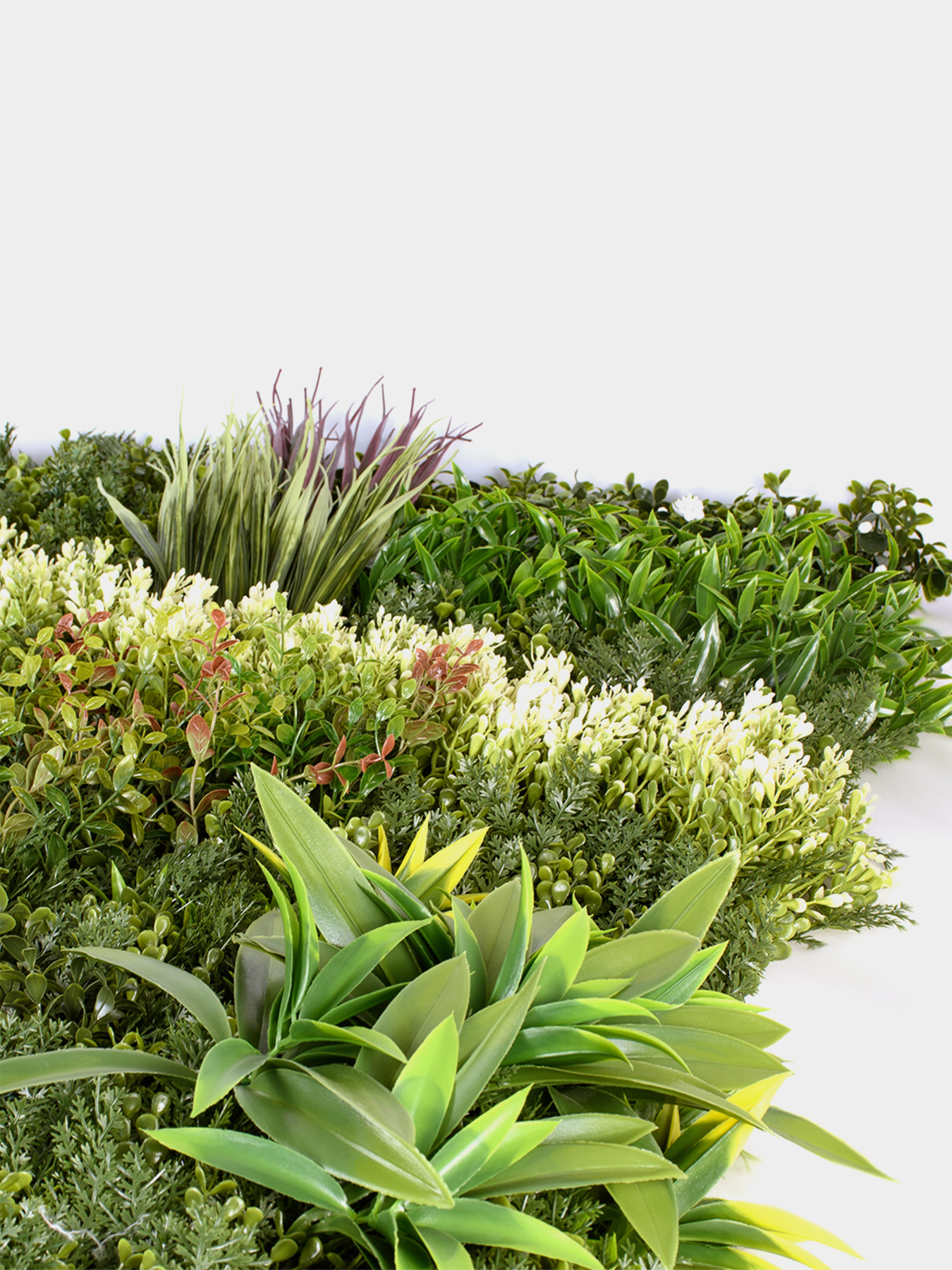 Декоративне зелене покриття-фітостіна "Розмарин" Engard модель GCK-31 Фото