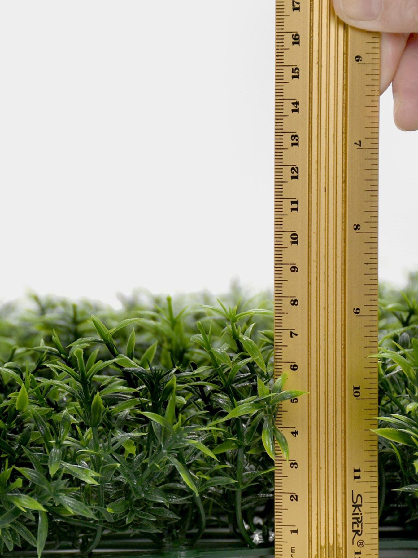 Декоративне зелене покриття-фітостіна "Розмарин" Engard модель GCK-31 Фото