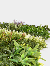 Декоративне зелене покриття-фітостіна "Розмарин" Engard модель GCK-31 Фото