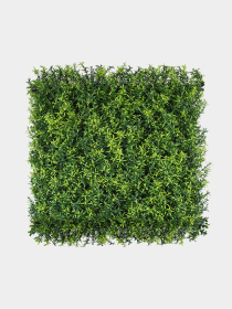 Декоративне зелене покриття-фітостіна "Розмарин" Engard модель GCK-31 Фото