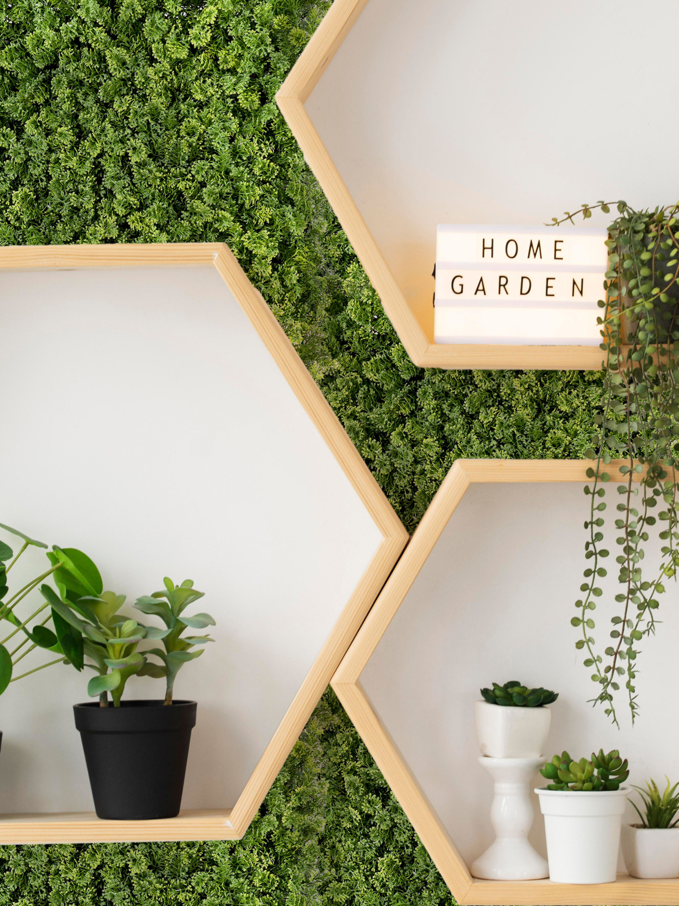 Декоративное зеленое покрытие-фитостена "Мох" Engard модель GCK-14 Фото