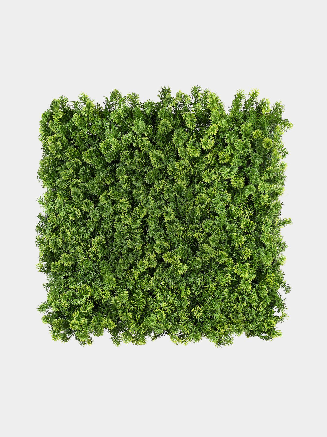 Декоративное зеленое покрытие-фитостена "Мох" Engard модель GCK-14 Фото