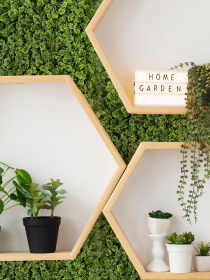 Декоративное зеленое покрытие-фитостена "Мох" Engard модель GCK-14 Фото