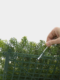 Декоративное зеленое покрытие-фитостена "Мох" Engard модель GCK-14 Фото