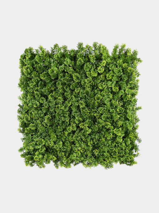 Декоративное зеленое покрытие-фитостена "Мох" Engard модель GCK-14 Фото