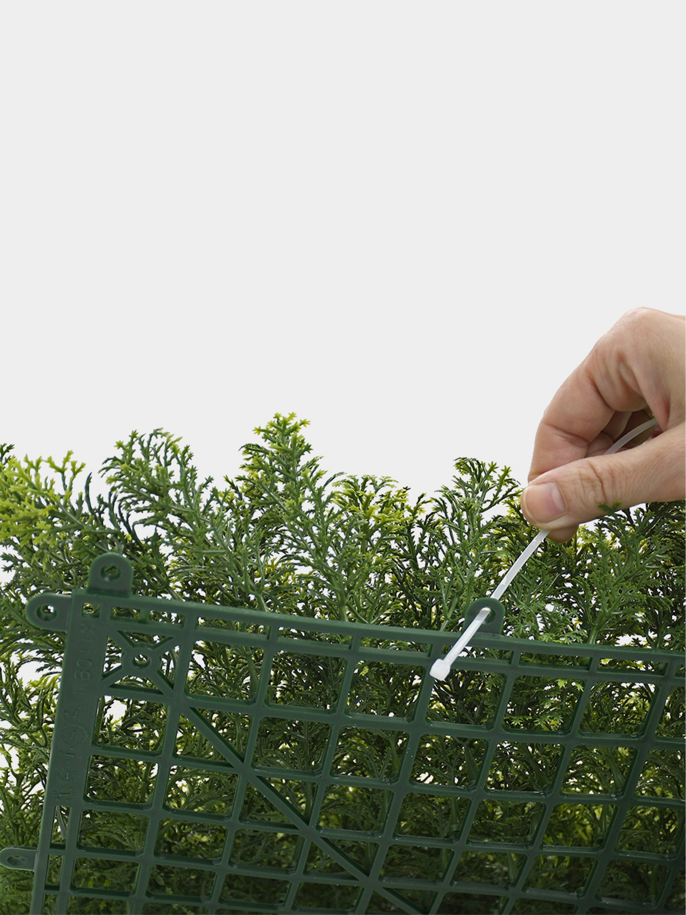 Декоративне зелене покриття-фітостіна "Мох" Engard модель GCK-14 Фото