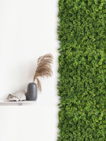 Декоративне зелене покриття-фітостіна "Мох" Engard модель GCK-14 Фото