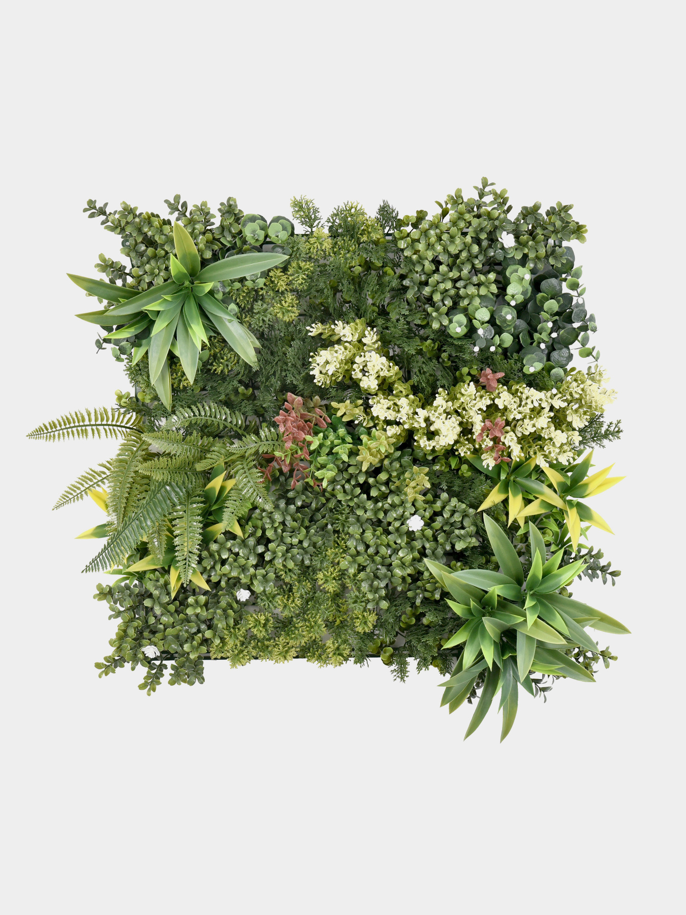 Декоративное зеленое покрытие-фитостена "Oazis", комплект 3 шт. Engard модель GCK Set-1 Фото