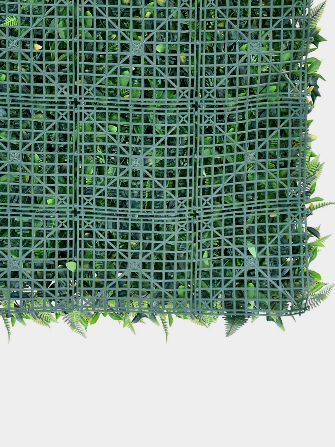 Декоративное зеленое покрытие-фитостена "Джунгли" Engard модель GCK-08 Фото