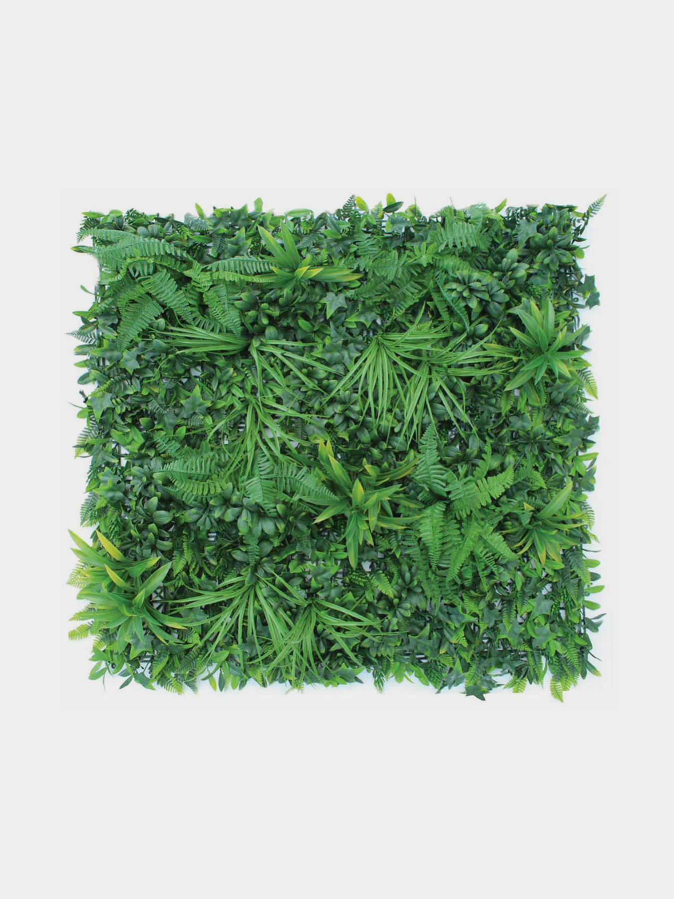 Декоративне зелене покриття-фітостіна-фітостіна "Джунглі" Engard модель GCK-08 Фото