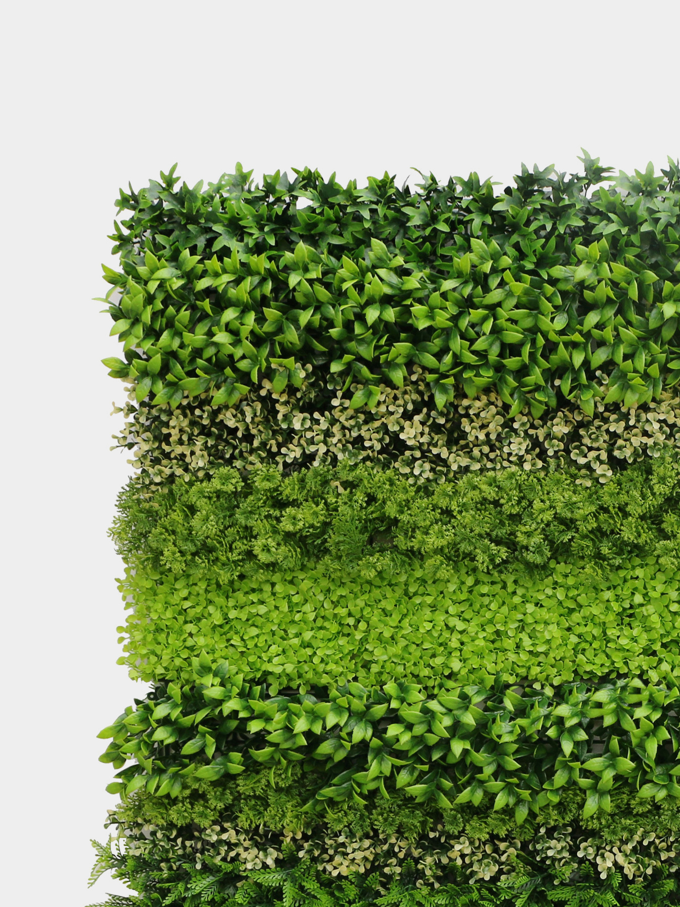 Декоративное зеленое покрытие-фитостена "Мультиэлемент" Engard модель GCK-30 Фото