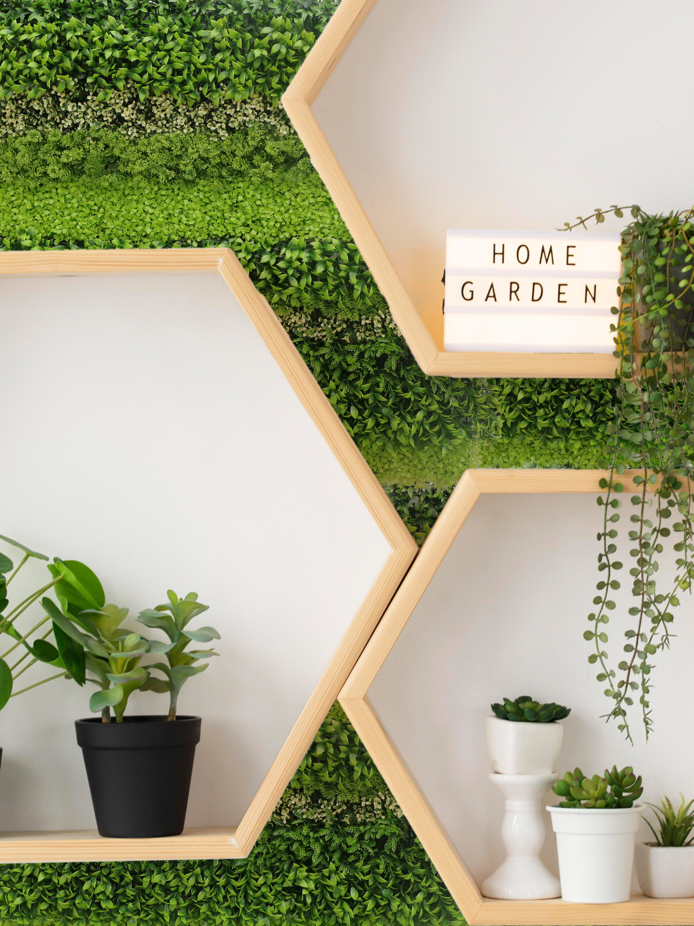 Декоративне зелене покриття-фітостіна "Мультіелемент" Engard модель GCK-30 Фото