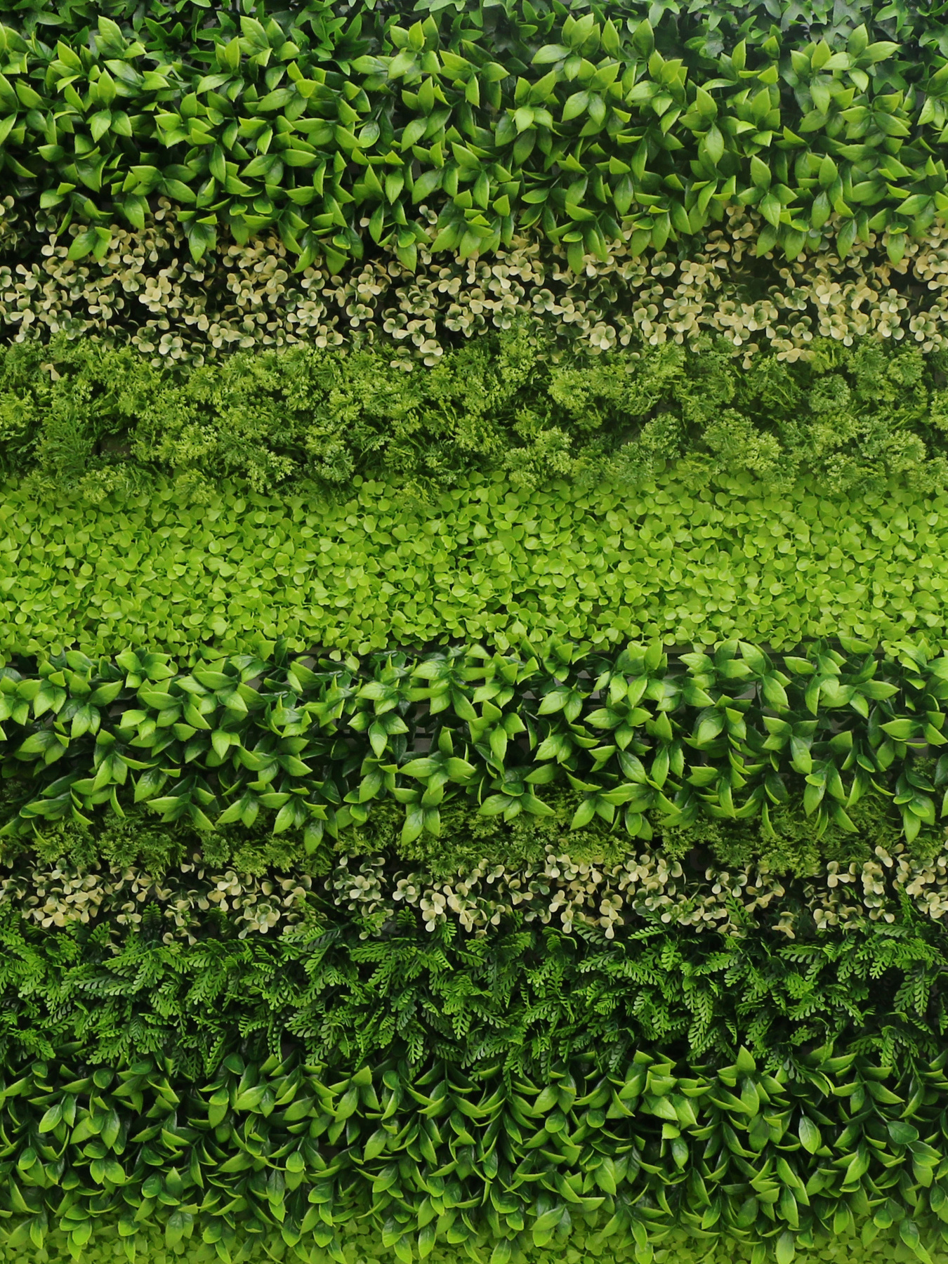 Декоративне зелене покриття-фітостіна "Мультіелемент" Engard модель GCK-30 Фото