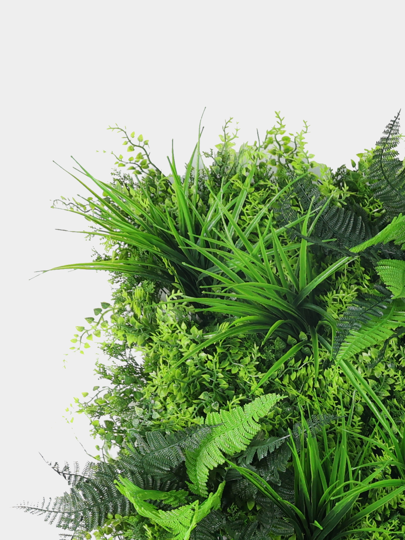 Декоративное зеленое покрытие-фитостена "Гринея" Engard модель GCK-29 Фото