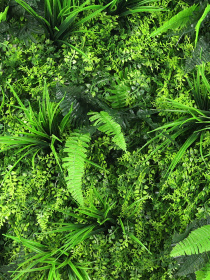 Декоративное зеленое покрытие-фитостена "Гринея" Engard модель GCK-29 Фото