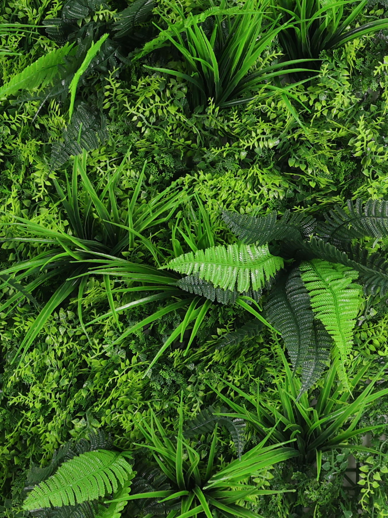 Декоративне зелене покриття-фітостіна "Грінея" Engard модель GCK-29 Фото