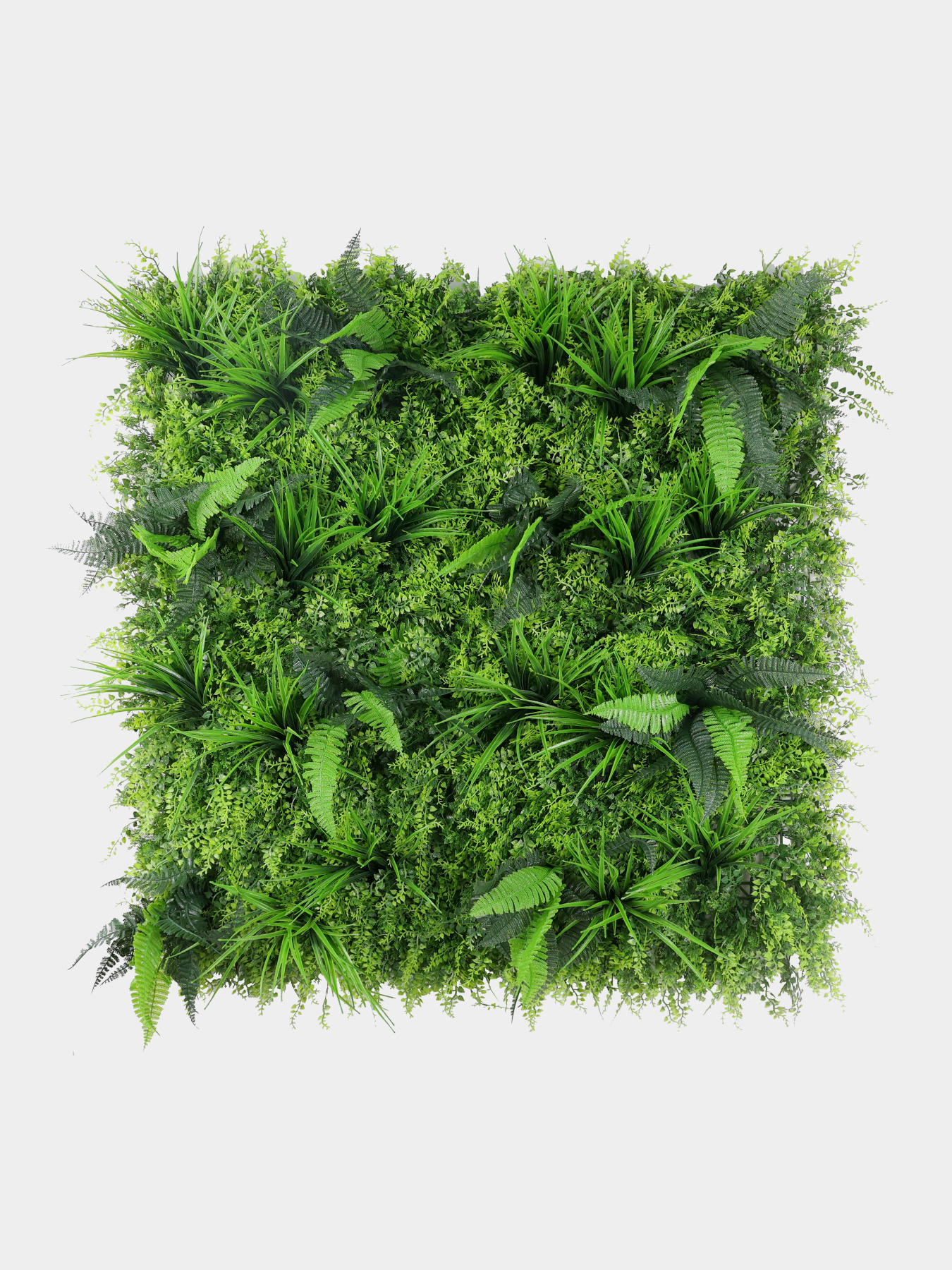 Декоративне зелене покриття-фітостіна "Грінея" Engard модель GCK-29 Фото