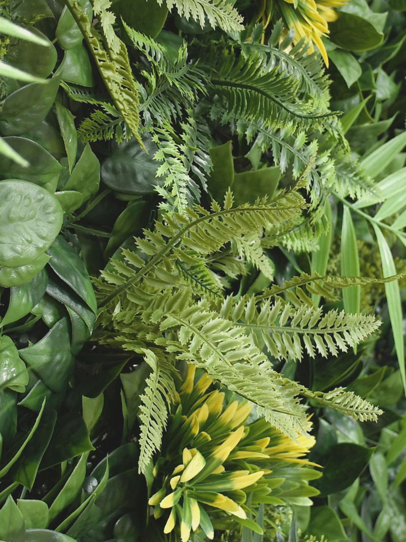 Декоративне зелене покриття-фітостіна "Гаваї" Engard модель GCK-32 Фото