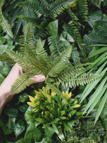 Декоративне зелене покриття-фітостіна "Гаваї" Engard модель GCK-32 Фото