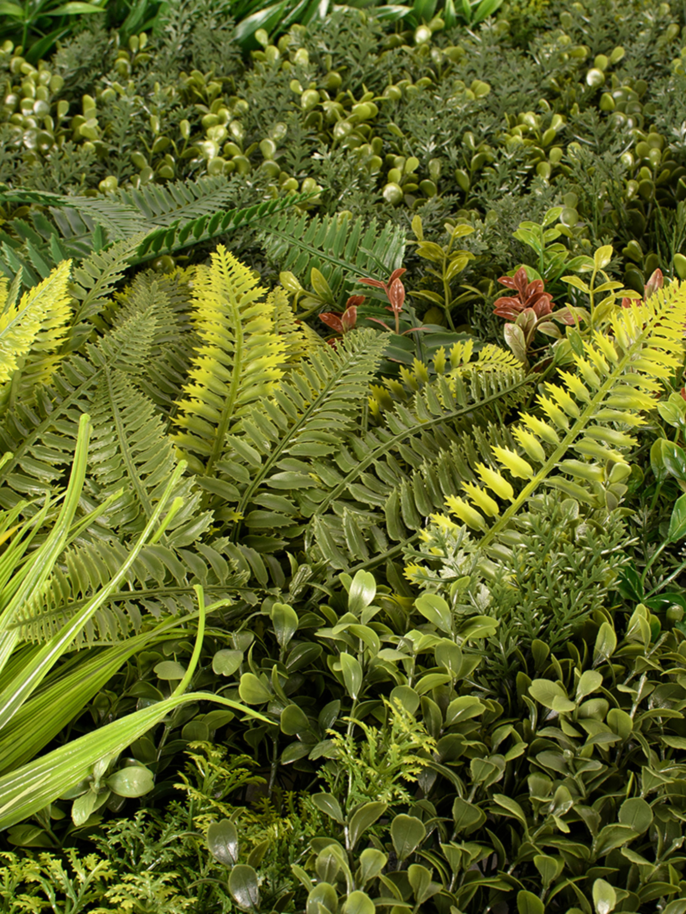 Декоративное зеленое покрытие-фитостена "Astreya" Engard модель GCK-20 Фото