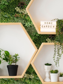 Декоративное зеленое покрытие-фитостена "Astreya" Engard модель GCK-20 Фото