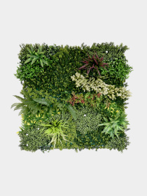 Декоративное зеленое покрытие-фитостена "Astreya" Engard модель GCK-20 Фото