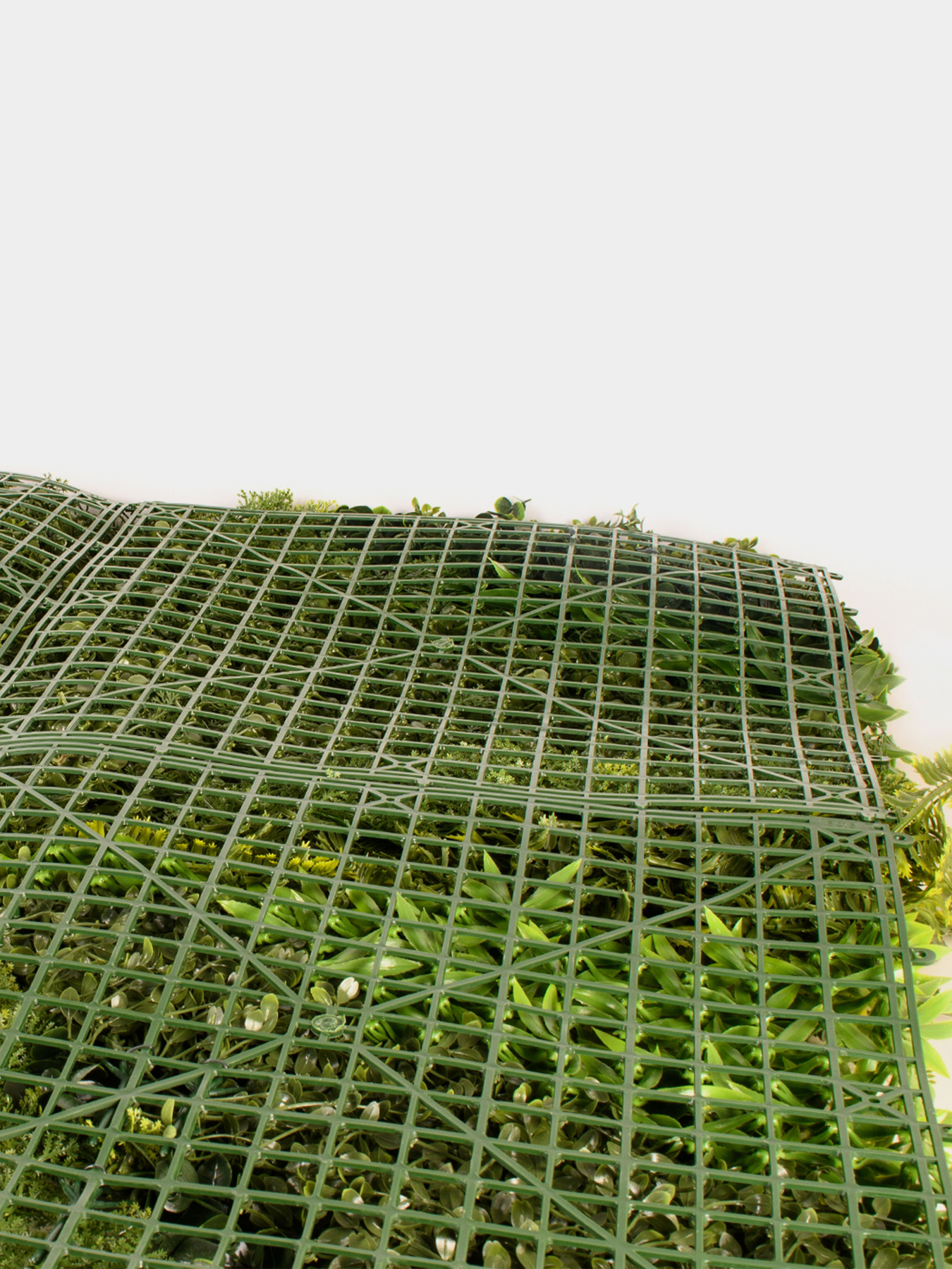 Декоративне зелене покриття-фітостіна "Astreya" Engard модель GCK-20 Фото