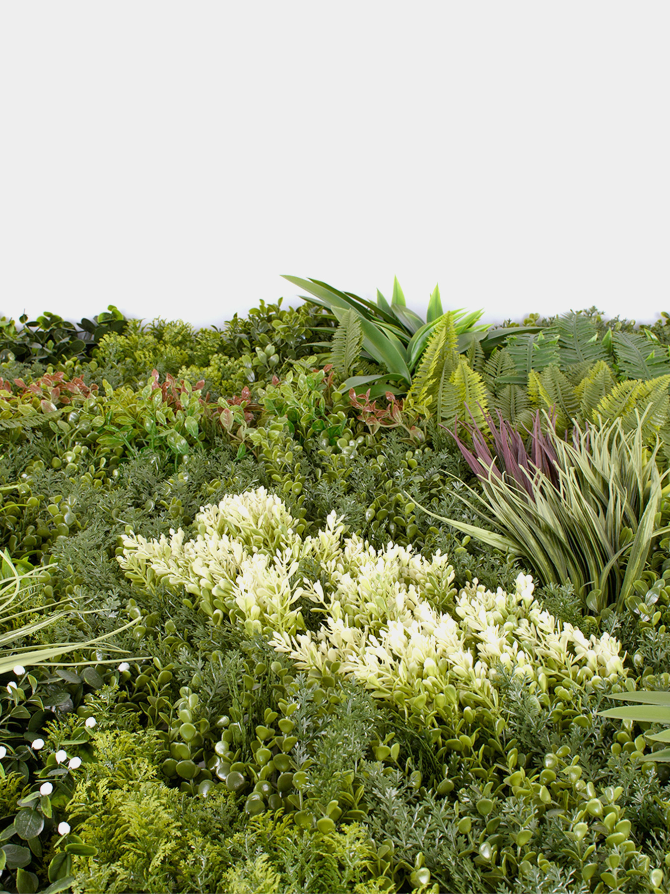 Декоративне зелене покриття-фітостіна "Afina" Engard модель GCK-21 Фото