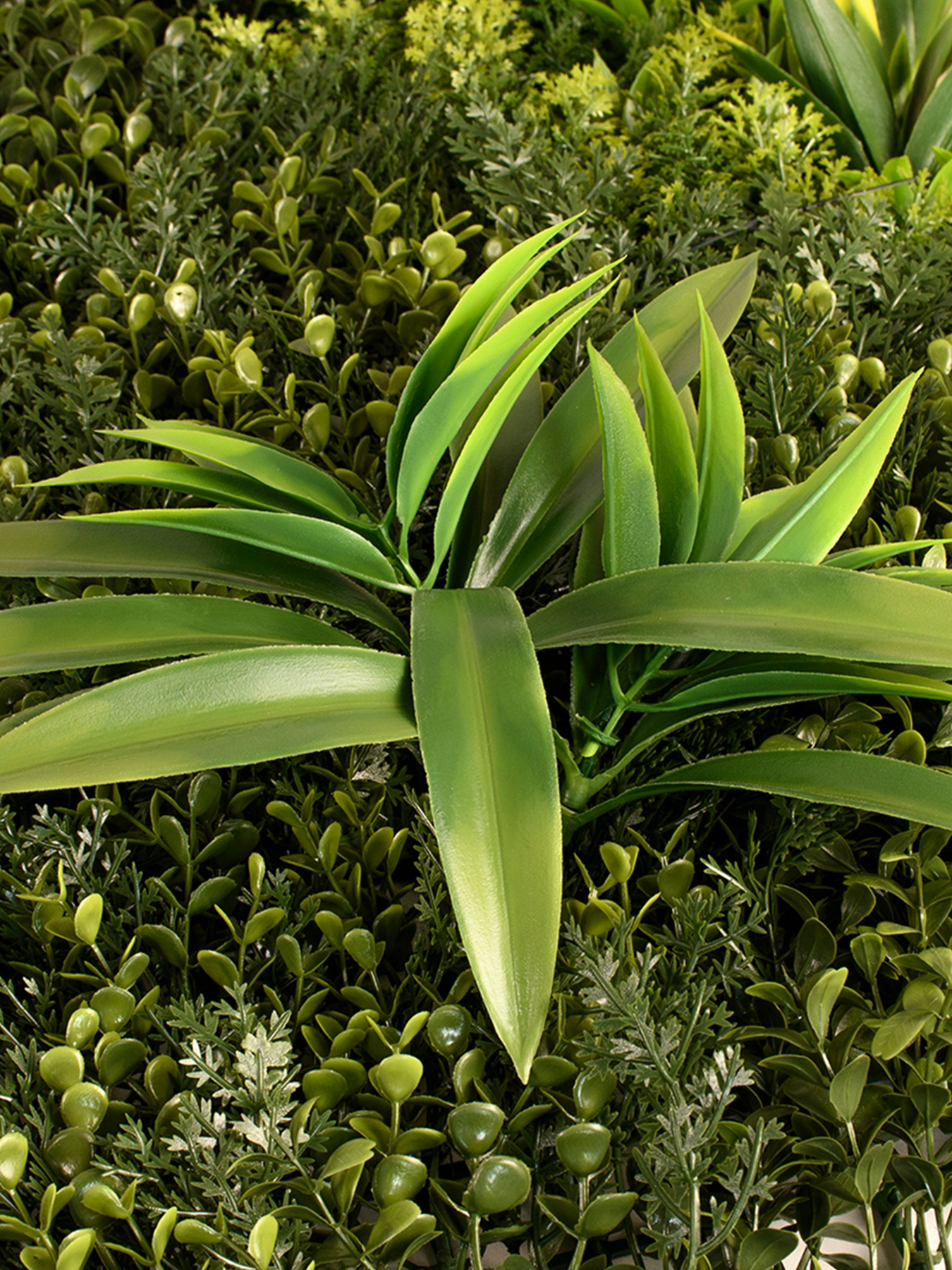 Декоративне зелене покриття-фітостіна "Afina" Engard модель GCK-21 Фото