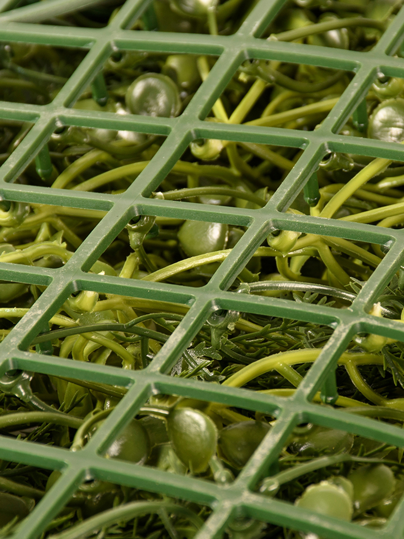 Декоративне зелене покриття-фітостіна "Afina" Engard модель GCK-21 Фото