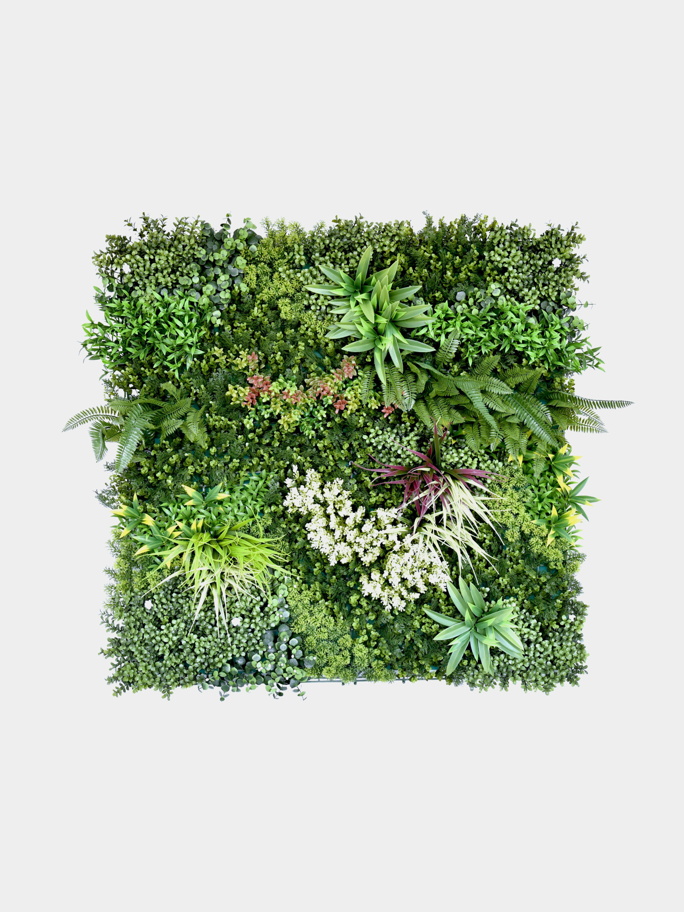 Декоративне зелене покриття-фітостіна "Afina" Engard модель GCK-21 Фото