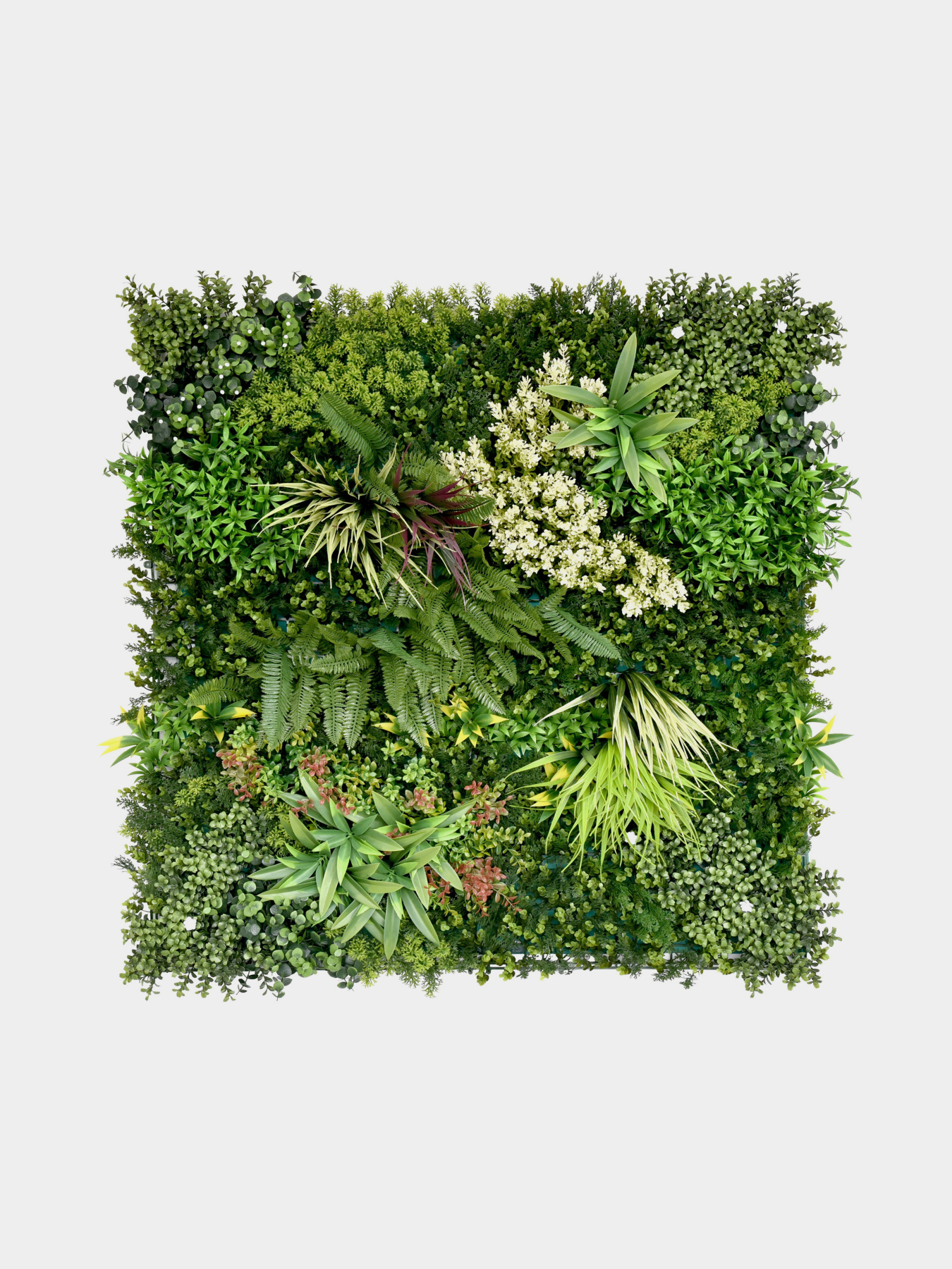 Декоративное зеленое покрытие-фитостена "Geba" Engard модель GCK-22 Фото