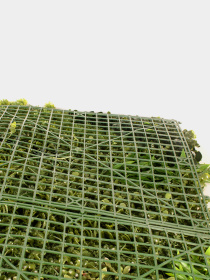 Декоративное зеленое покрытие-фитостена "Geba" Engard модель GCK-22 Фото