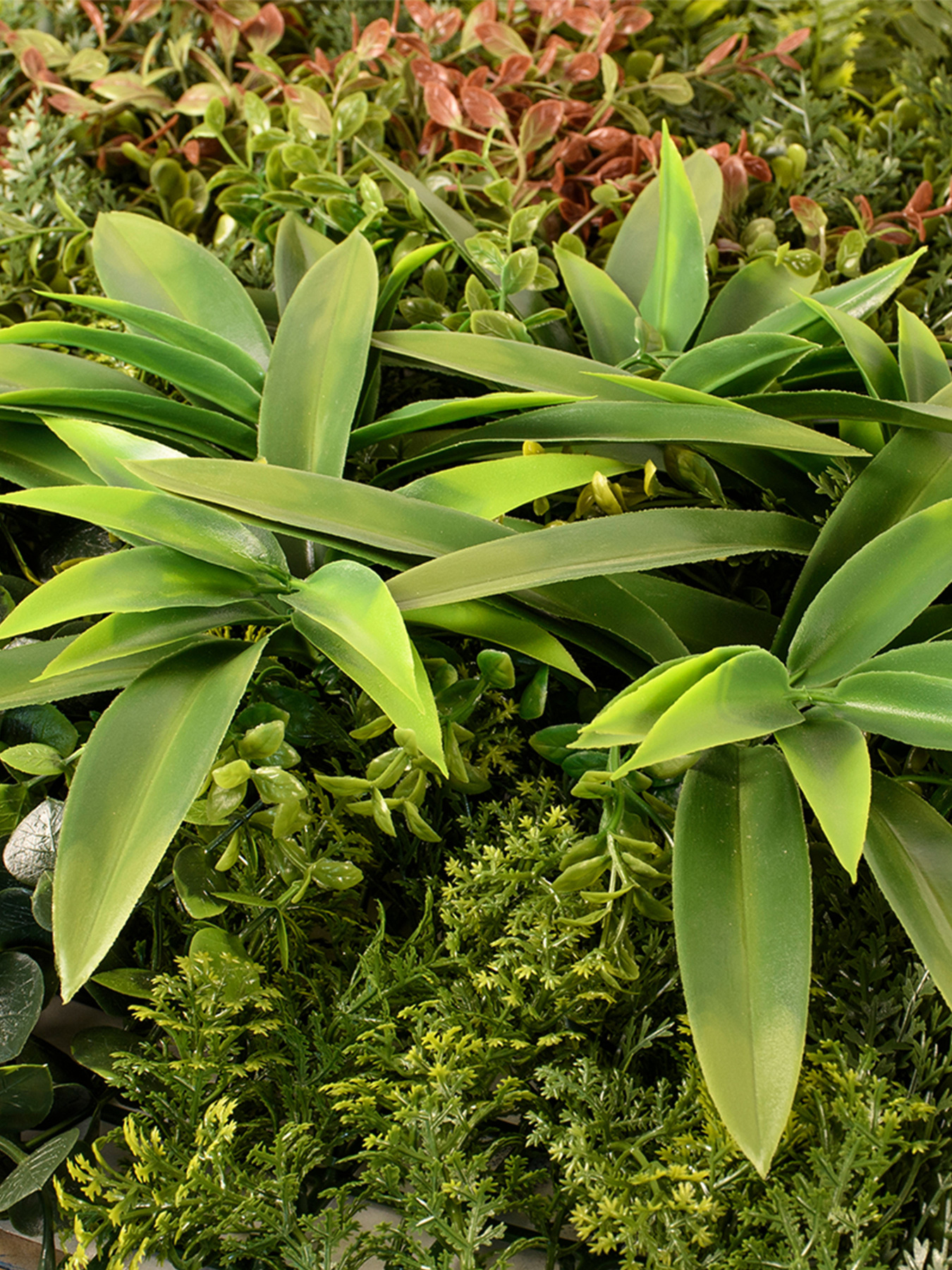 Декоративне зелене покриття-фітостіна "Geba" Engard модель GCK-22 Фото