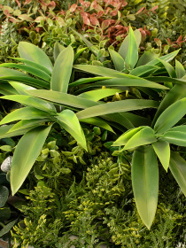 Декоративне зелене покриття-фітостіна "Geba" Engard модель GCK-22 Фото