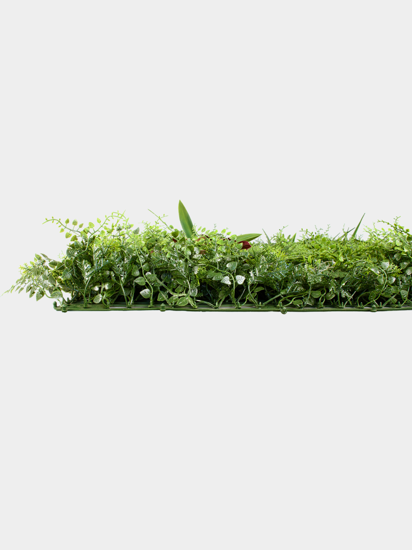 Декоративное зеленое покрытие-фитостена "Valley" Engard модель GCK-23 Фото