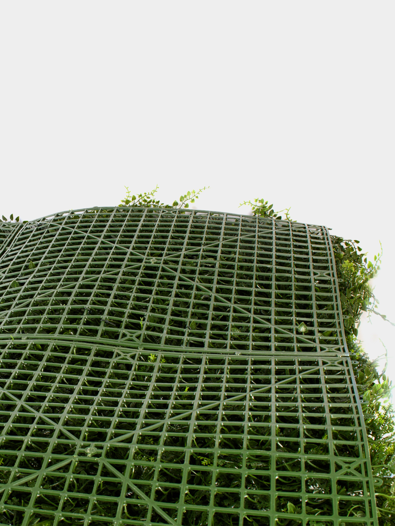 Декоративное зеленое покрытие-фитостена "Valley" Engard модель GCK-23 Фото