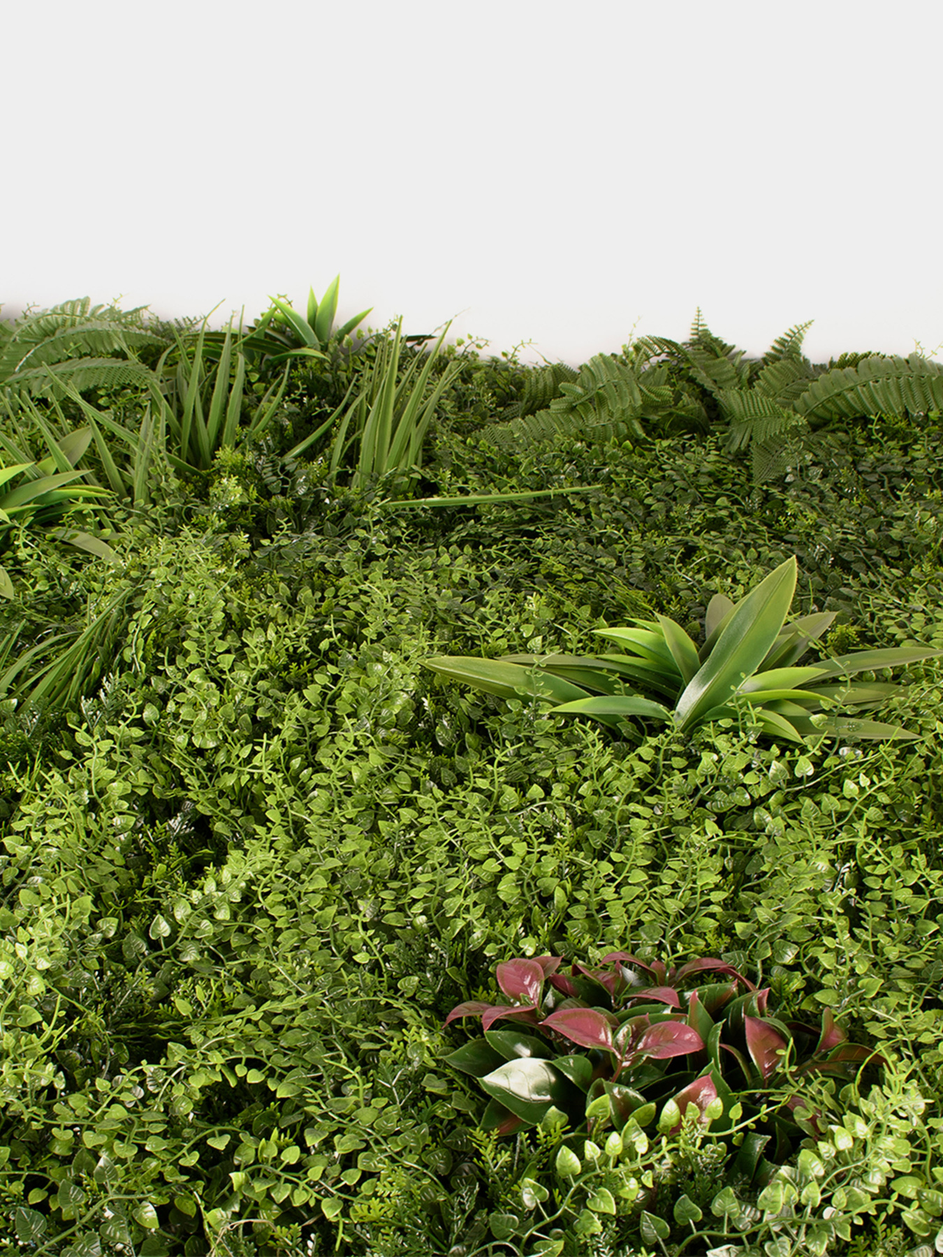 Декоративное зеленое покрытие-фитостена "Valley" Engard модель GCK-23 Фото